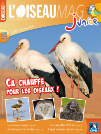 Couverture de l'OISEAU MAG JUNIOR n°20